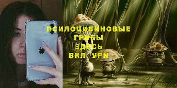 MDMA Premium VHQ Ладушкин