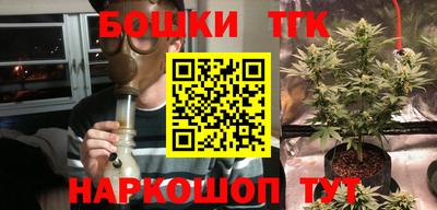 прущие грибы Гусев