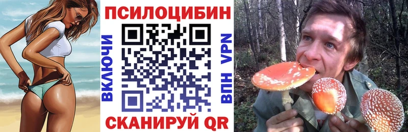 Галлюциногенные грибы Psilocybe Ефремов