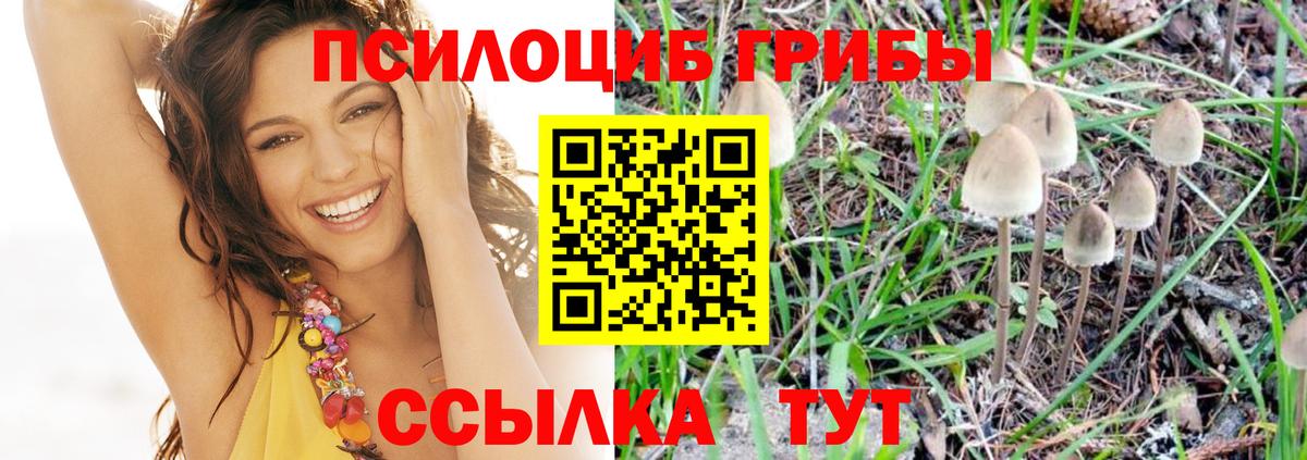 Ефремов  что такое наркотик  Вход с VPN  Псилоцибиновые грибы ЛСД 