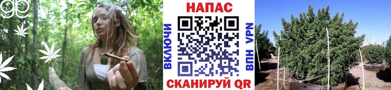 Шишки марихуана тримм  Ефремов 
